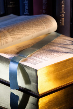 Biblia de Jerusalén. Nueva gran edición ilustrada
