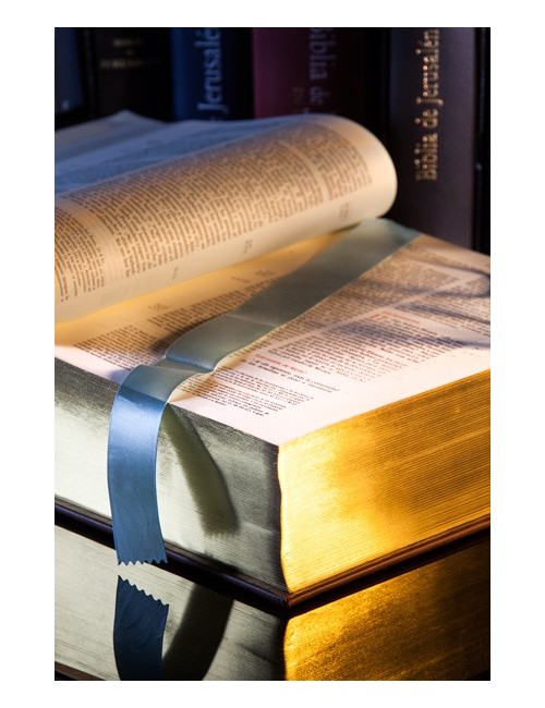 Biblia de Jerusalén. Nueva gran edición ilustrada