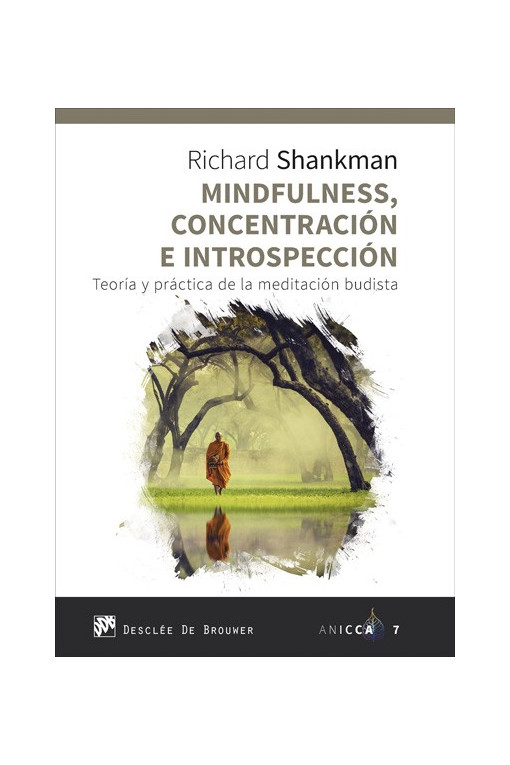 Mindfulness, concentración e introspección