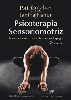 Psicoterapia Sensoriomotriz