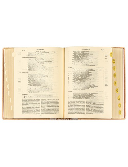 Biblia de Jerusalén manual 5ª edición - Edición bambú 75 aniversario