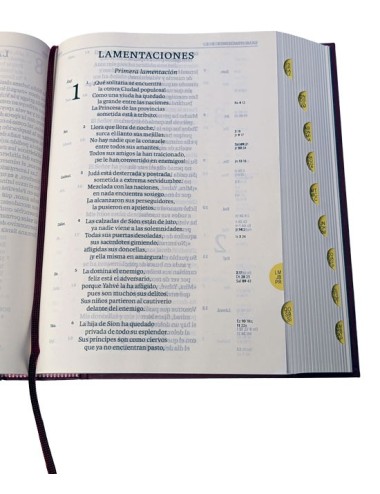 Biblia de Jerusalén en letra grande