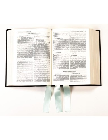 Biblia de Jerusalén Ilustrada