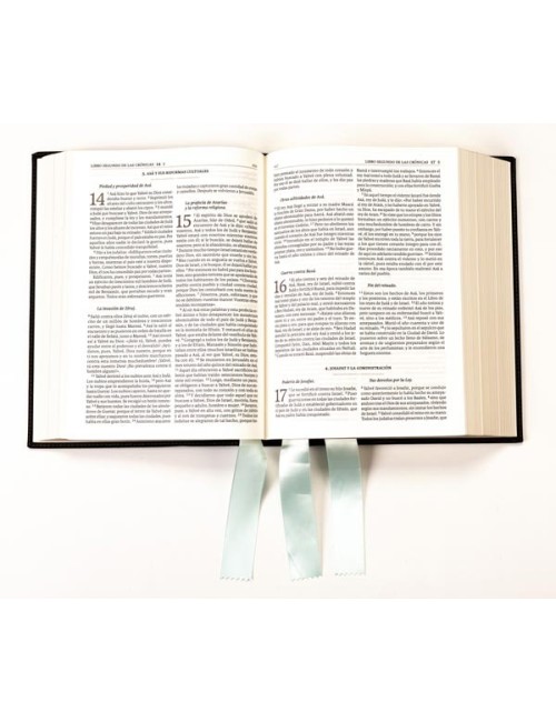 Biblia de Jerusalén Ilustrada