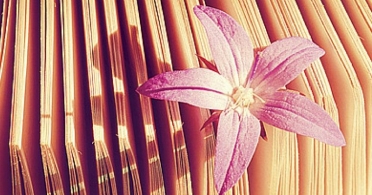 “Debemos incorporar la creación poética a nuestra rutina diaria”