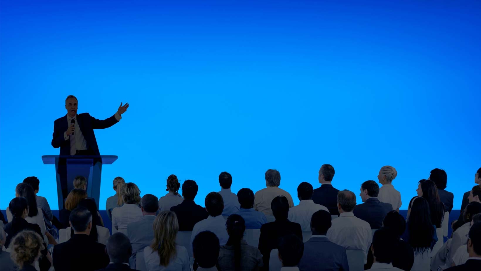 Formación Oficial MBT‑F (Mentalization Based Treatment for Families)